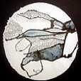 abstracts/MertonBlue-small