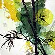 asian/YellowMoon2-small