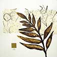 floral/BrownLeaf5-small