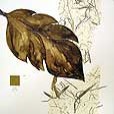 floral/BrownLeaf6-small