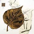 floral/LeafBalsamPoplar-small