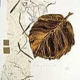 floral/LeafHazelnut-small