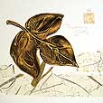 floral/LeafMorningGlory-small