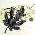 floral/LeafPapaya-small
