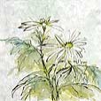 floral/MulberryFreeMum3-small