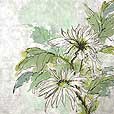 floral/MulberrySnowMum1-small