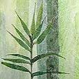 floral/TallPalmLeaf1-small