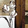 licensing/LongTulip1-small