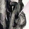 nudes/TallBlackNude2-small