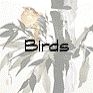 Birds_Button