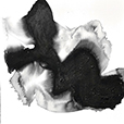 BloomingInk1