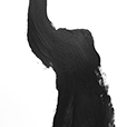 EitherWay5