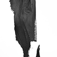 EitherWay7