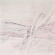 ScrapedFuchsia1