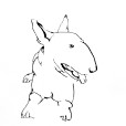 BullTerrier3