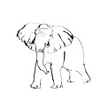 Elephant1