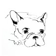 FrenchBulldog1