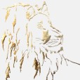GildedLion