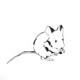 LineMouse1