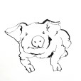 LinePig2