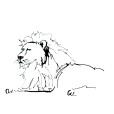 Lion2