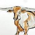 Longhorn2