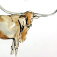 Longhorn3