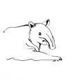 Tapir3