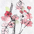 BlossomPink