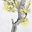 BlossomYellow