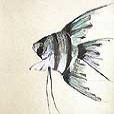 Fish Angel - II