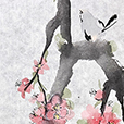PinkPlum2