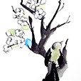 WhitePlumBranch2