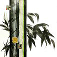 ContemporaryBamboo2