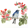 Bird&Blossoms1