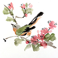 Bird&Blossoms4