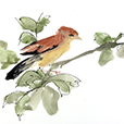 Bird&Leaves3