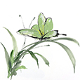 ButterflyGreen1