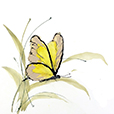 ButterflyYellow1