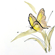 ButterflyYellow2