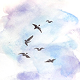 InFlight2