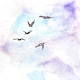 InFlight4