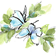 SocialButterflies1