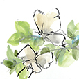 SocialButterflies2
