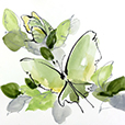 SocialButterflies4