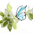 SocialButterflies6