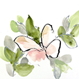 SocialButterflies7