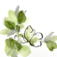 SocialButterflies8