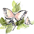 SocialButterflies9