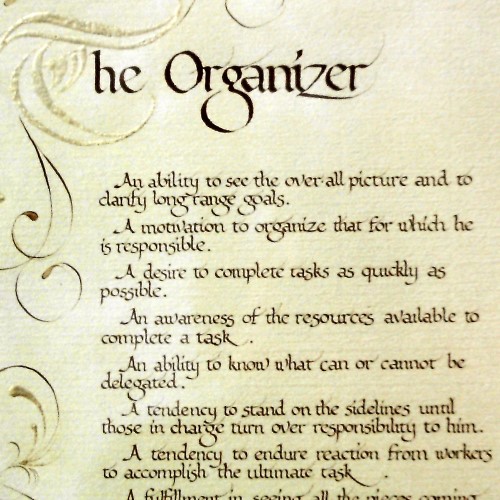 TheOrganizer2